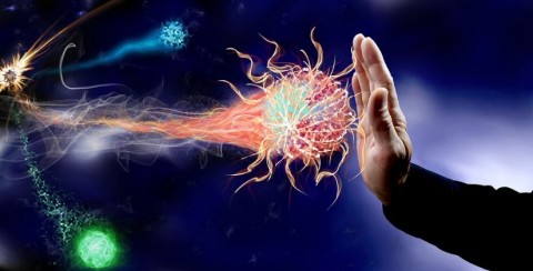 La Inmuno-Oncología, cada vez más eficaz en el tratamiento contra el cáncer