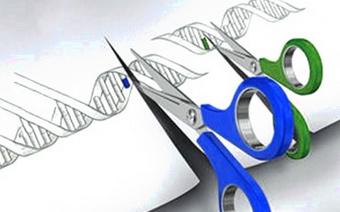 La “superedición” de genes se usa por primera vez en pacientes con cáncer