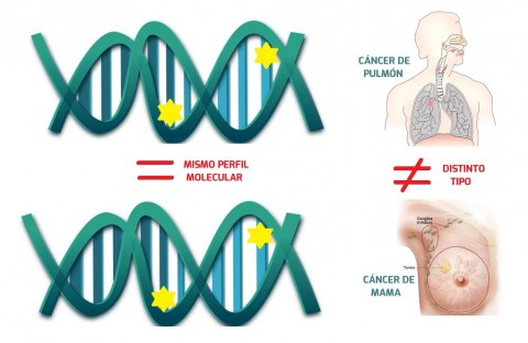 La diversidad genética en el cáncer cambia la dinámica de los ensayos clínicos