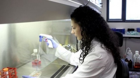 Un test genómico evita la quimioterapia al 40% de mujeres con cáncer de mama HER2