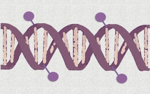 Metilación del ADN como biomarcador para el diagnóstico y pronóstico del cáncer