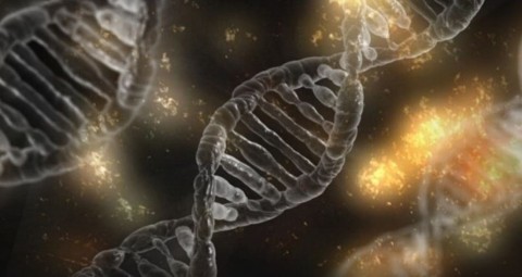 Se detectan nuevos genes relacionados con el riesgo de sufrir cáncer