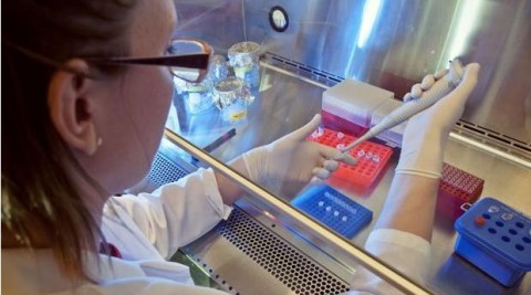 Los biomarcadores permiten reducir los tiempos y costes de los nuevos ensayos clínicos