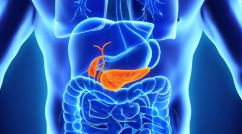 Investigadores españoles eliminan por primera vez el cáncer de páncreas en ratones