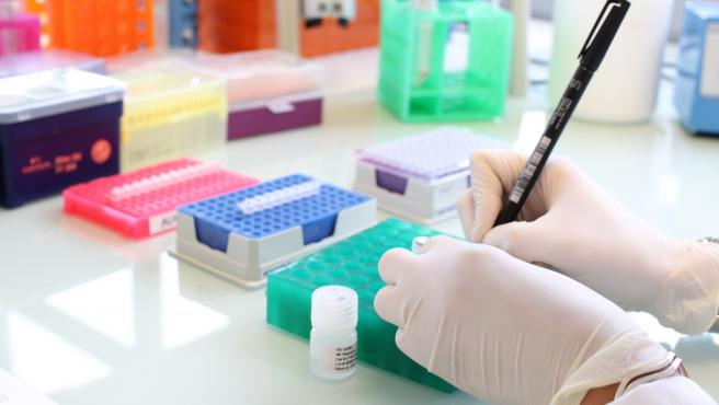 Descifrando la biología molecular del cáncer mediante los test genéticos