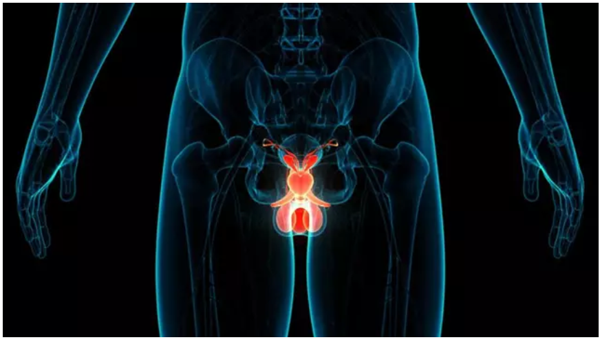 Abierto un proyecto que ofrece oncología de precisión a pacientes de cáncer de próstata metastático en toda España.