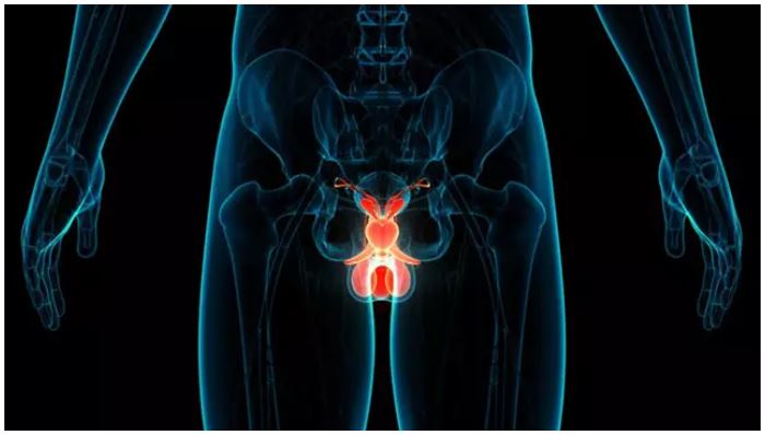 En desarrollo un nuevo y eficaz compuesto contra el cancer de próstata.